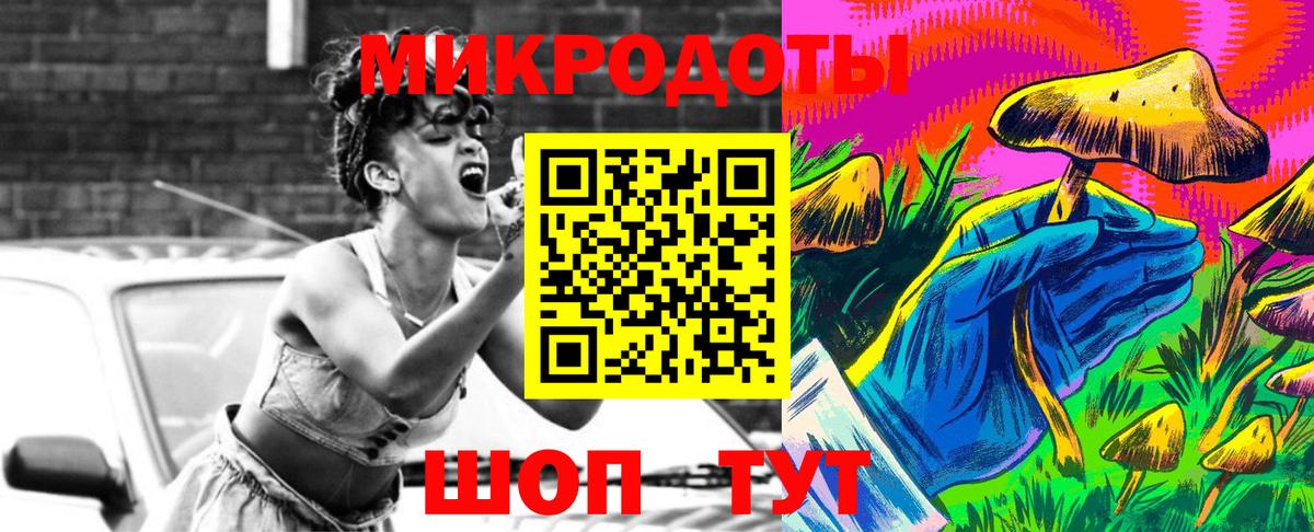 купить наркотики сайты  Псилоцибиновые грибы Psilocybe  Псилоцибиновые грибы Psilocybe  Вход с VPN  Куйбышев 