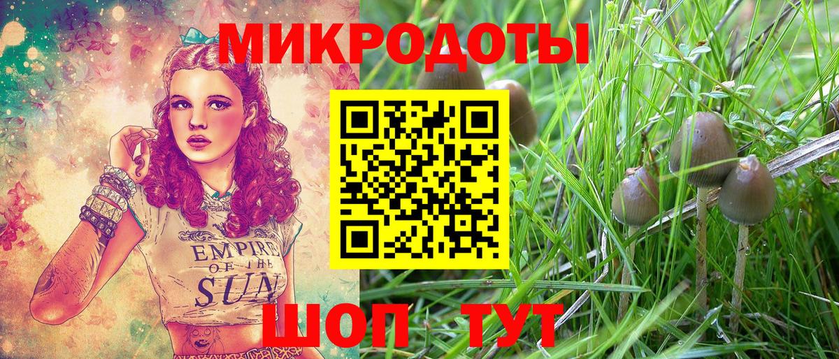 Галлюциногенные грибы Cubensis Куйбышев